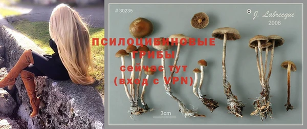 мдпв Волосово