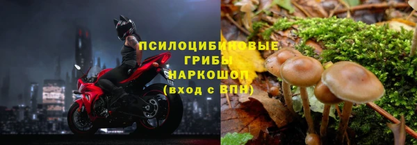 прущие крисы Володарск